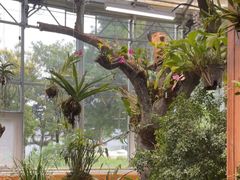 -国家植物园南园