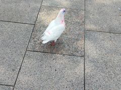 -人民广场