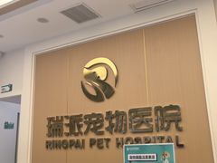 -瑞派康怡24h宠物医院·犬猫医疗中心·微创绝育(瑞景分院)