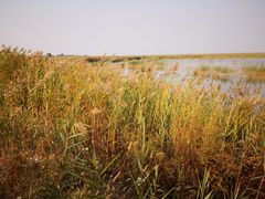 景点-官港森林公园