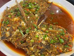 -草墩罗非鱼庄•野生菌•腊排骨(七星街上段店)