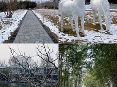 -春晖园度假酒店温泉