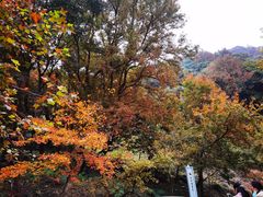 -广州市石门国家森林公园
