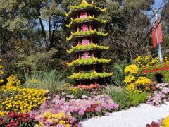 -南山植物园