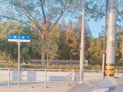 -上海共青森林公园