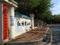 -红树湾小区