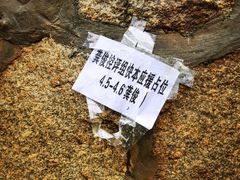 -湖南广电中心大楼