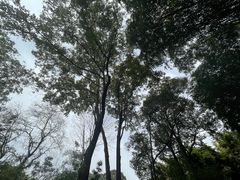 -望江楼公园