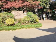 -杭州半山国家森林公园