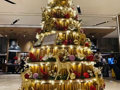 -新加坡瑞士史丹福酒店