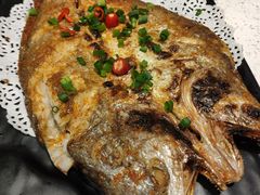 -九府羊·鲜羊火锅·烤串(新华路店)