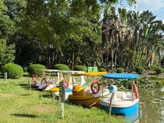 -东南花都花博园