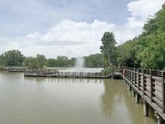 -大湾区中央湿地公园