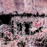 OneWedding丨樱花粉婚礼