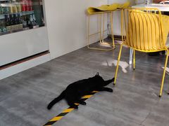 -五进制 Coffee Shop