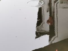 -江南第一家