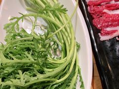 -手选潮汕鲜活牛肉火锅(二七广场店)