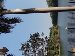 -观澜湖生态运动公社