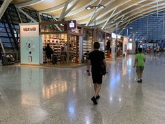 -上海浦东国际机场-T2航站楼