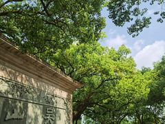 -吴山景区