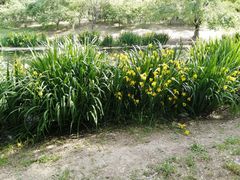 -永定河休闲森林公园