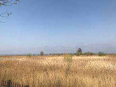 -野鸭湖国家湿地公园