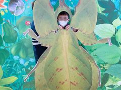 -上海昆虫博物馆