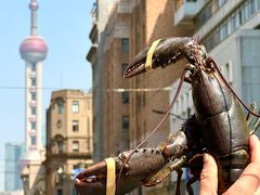 -LESCEDARS Brasserie Bistro香柏树