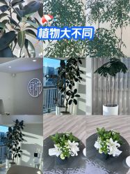 -HEYAN荷妍专业脱毛连锁机构