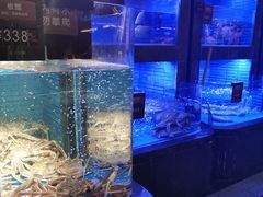 水产区-徐记海鲜(曲江南湖店)