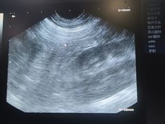 -瑞鹏宠物医院·爱宠堂·骨外专科(西荷分院)