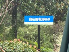 -善卷洞风景区