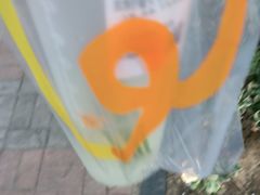 -CoCo都可(丁家庄店)