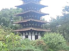 -北京世界公园