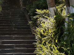 -磁器口古镇