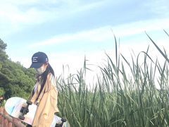 -东湖落雁景区