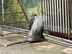 -西安秦岭野生动物园