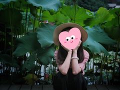 -陈家山荷花公园