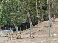 -可伦宾野生动物保护区