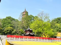 -宝通禅寺