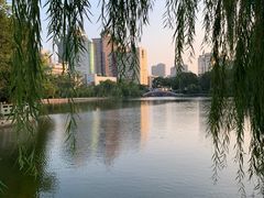 -月湖公园