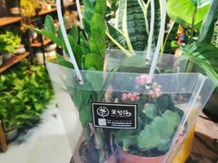 -何兮花店·气球派对鲜花店(马桥银春路万科城店)