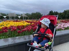 -长春公园(普阳街道)