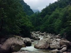 -青峰峡国家森林公园