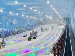 -世界之窗阿尔卑斯冰雪世界