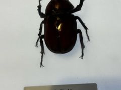 -中国湿地博物馆