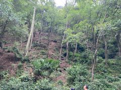 -黔灵山公园