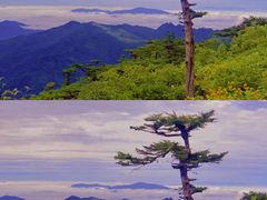 -秦岭风景区