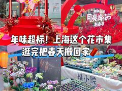 -瑞虹新天地月亮湾