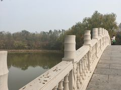-塘沽森林公园